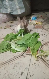 سه عددکوچیک ودوعددبزرگ