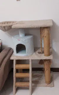 اسکرچر گربه