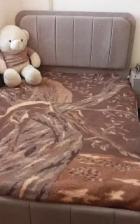 تخت