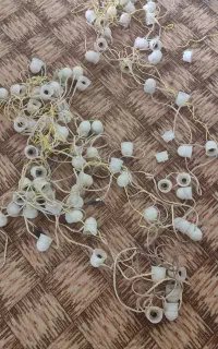 ریسه لامپ