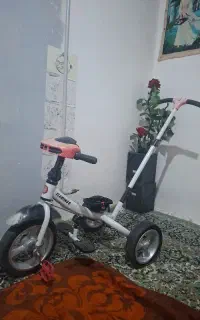 سه چرخه فلامینگو