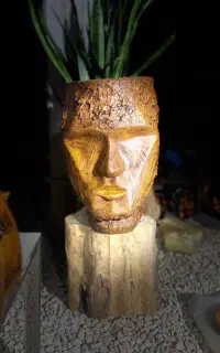 محصولات طرح چوب