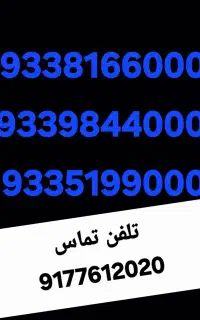 9335199000