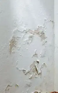 لکه گیری گچکاری
