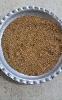 تخم یونجه درجه یک پایه بلند
