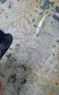 ایکس باکس 360 و کینکت