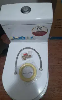 فرنگی،