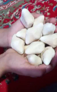 قروت محلی تمیز خوشمزه وبلغور شیر