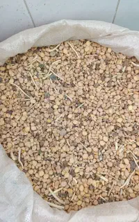 شکسته نخود بوجار نشده