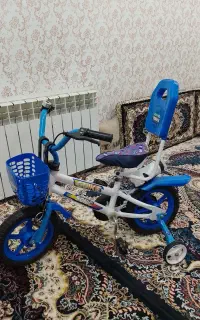دوچرخه