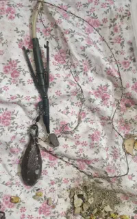 ریسه های ماهیگیری