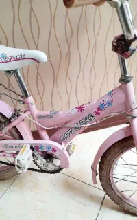 دوچرخه سایز 16 (چک صیادی)