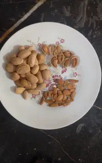 بادام تازه