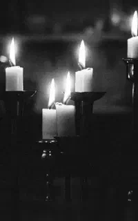 برگزاری مراسم تشییع و خاکسپاری.