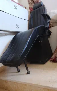 صندل و  تلویزیون