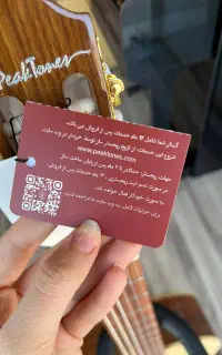 گیتارپیک تونز مدل L2 در رویال موزیک