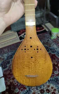 ساز پژواک سه تار