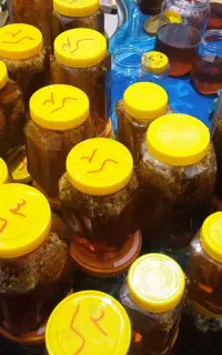 عسل به شرط و تضمین