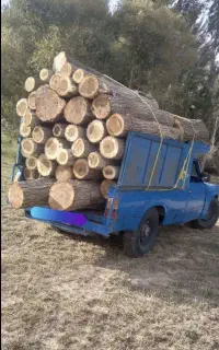 خریدار همه نوع چوب