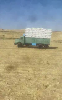 کاه گندم دیم درجه یک