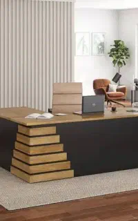 منشی دستیار خانم