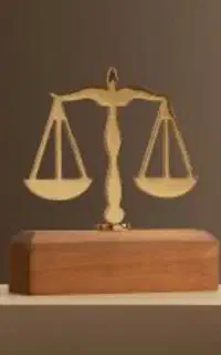وکیل دادگستری / پیگیری تخصصی پرونده های قضایی