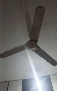 پنکه