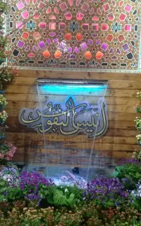 سیم کارت داعم