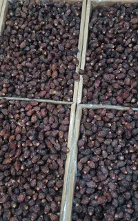 فروش خرماو کشتی ریزه خاصویی آجیلی تناژ بالا و لوکس