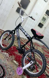 دوچرخه بدون ایراد۳/۵۰۰