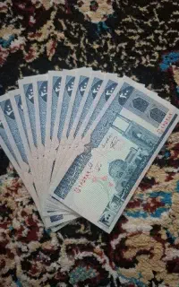 پول کلکسیونیپول