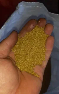 بذر یونجه