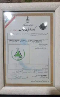 فروش برند