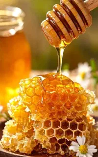 عسل خالص و ارگانیک با خواص درمانی