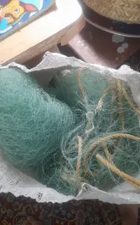 تور ماهیگیری