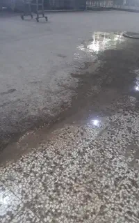 کفسابی و سنگ سابی مسلم