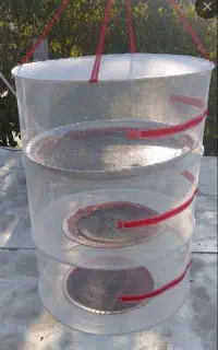 سبد سبزی خشک کن