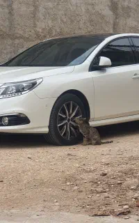 رنو سفران ۲۰۰۰مدل ۲۰۱۶