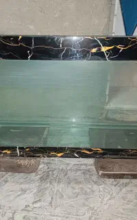 اکواریوم شیشه خم
