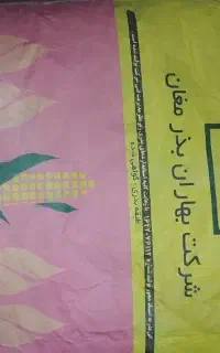 بذر ذرت 704