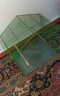 قفس درحد نو تکی فروخته میشودقیمت ۷۰۰هزارتومان