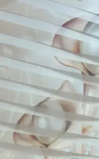 پرده زبرا