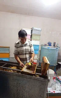 عسل طبیعی