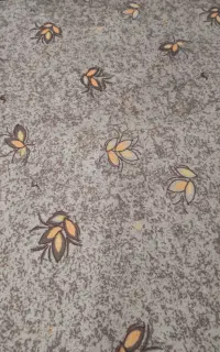 موکت