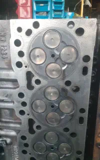 سرسلندر دنگ فنگ