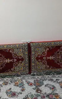 پشتی سالم زرشکی
