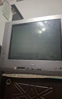 تلوزیون  پارس