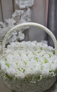 شمع