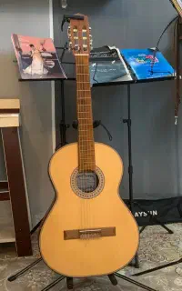 گیتارفرانسیسکو