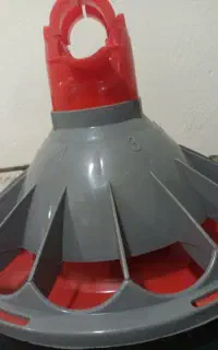 بشقاب دانخوری کناوی مرغ گوشتی